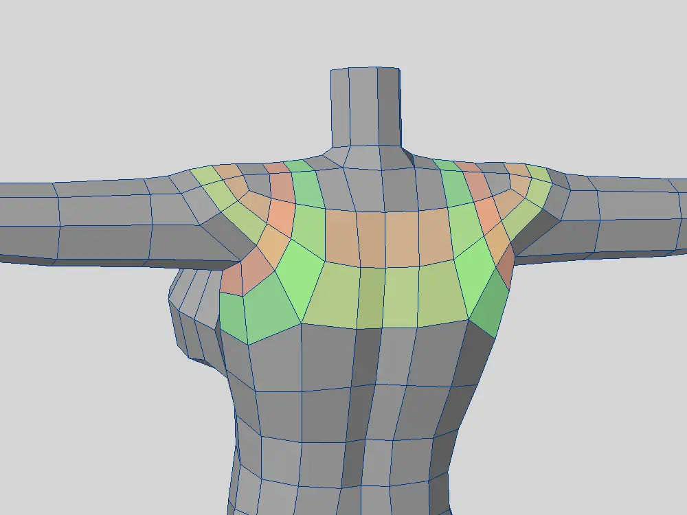 ローポリ女性モデルの背中のトポロジー